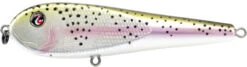 River2Sea ICBM 120 Hard Stickbait/Glidebait -Fishing Equipment Store 02RainbowTrout eadba6ed 8576 49bb ae99 7c2d8eb79b04