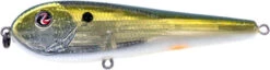 River2Sea ICBM 120 Hard Stickbait/Glidebait -Fishing Equipment Store 03IKnowIt
