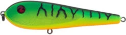 River2Sea ICBM 120 Hard Stickbait/Glidebait -Fishing Equipment Store 05FireTiger