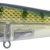 River2Sea ICBM 120 Hard Stickbait/Glidebait -Fishing Equipment Store 06BlueGill