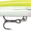 Rapala Down Deep Husky Jerk 10 Deep Diving Jerkbait -Fishing Equipment Store 12564593410103