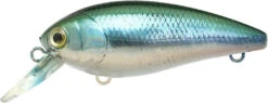 Lucky Craft Moonsault CB-100 Shallow Diving Crankbait 26 Lucky Craft Moonsault CB-100 Shallow Diving Crankbait -Fishing Equipment Store 13025142931511
