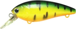 Lucky Craft Moonsault CB-100 Shallow Diving Crankbait 30 Lucky Craft Moonsault CB-100 Shallow Diving Crankbait -Fishing Equipment Store 13025143128119