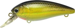Lucky Craft Moonsault CB-100 Shallow Diving Crankbait 31 Lucky Craft Moonsault CB-100 Shallow Diving Crankbait -Fishing Equipment Store 13025143160887