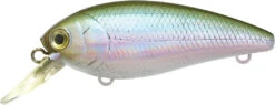 Lucky Craft Moonsault CB-100 Shallow Diving Crankbait 34 Lucky Craft Moonsault CB-100 Shallow Diving Crankbait -Fishing Equipment Store 13025143259191