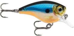 Rapala BX Big Brat 2 3/4 Inch Square Bill Crankbait -Fishing Equipment Store 31321538363481