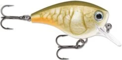 Rapala BX Big Brat 2 3/4 Inch Square Bill Crankbait -Fishing Equipment Store 31321538396249