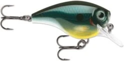 Rapala BX Big Brat 2 3/4 Inch Square Bill Crankbait -Fishing Equipment Store 31321538429017