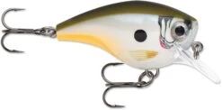 Rapala BX Big Brat 2 3/4 Inch Square Bill Crankbait -Fishing Equipment Store 31321538461785