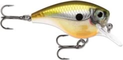 Rapala BX Big Brat 2 3/4 Inch Square Bill Crankbait -Fishing Equipment Store 31321538560089