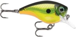 Rapala BX Big Brat 2 3/4 Inch Square Bill Crankbait -Fishing Equipment Store 31321538592857