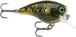 Rapala BX Big Brat 2 3/4 Inch Square Bill Crankbait -Fishing Equipment Store 31321538658393