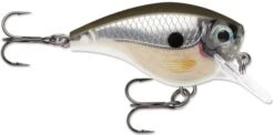 Rapala BX Big Brat 2 3/4 Inch Square Bill Crankbait -Fishing Equipment Store 31321538691161