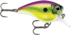 Rapala BX Big Brat 2 3/4 Inch Square Bill Crankbait -Fishing Equipment Store 31321538723929