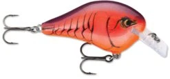 Rapala DT Fat 03 Shallow Square Bill Crankbait -Fishing Equipment Store 31333941149785