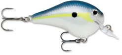 Rapala DT Fat 03 Shallow Square Bill Crankbait -Fishing Equipment Store 31333941182553