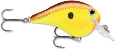 Rapala DT Fat 03 Shallow Square Bill Crankbait -Fishing Equipment Store 31333941215321