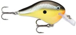 Rapala DT Fat 03 Shallow Square Bill Crankbait -Fishing Equipment Store 31333941280857