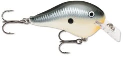Rapala DT Fat 03 Shallow Square Bill Crankbait -Fishing Equipment Store 31333941313625