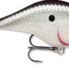 Rapala DT Fat 03 Shallow Square Bill Crankbait -Fishing Equipment Store 31333941346393