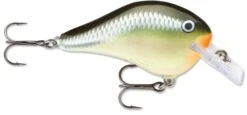 Rapala DT Fat 03 Shallow Square Bill Crankbait -Fishing Equipment Store 31333941379161