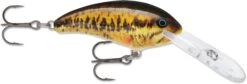 Rapala Shad Dancer SDD07 Deep Diving Crankbait -Fishing Equipment Store 31340105138265