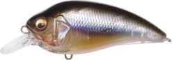Megabass Super-Z Z-1 Medium Diving Crankbait -Fishing Equipment Store 31680779124825