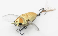Chasebaits Ripple Cicada 1 3/4 Inch Wakebait Crawler -Fishing Equipment Store 32233146843225