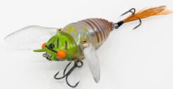 Chasebaits Ripple Cicada 1 3/4 Inch Wakebait Crawler -Fishing Equipment Store 32233146875993