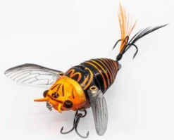 Chasebaits Ripple Cicada 1 3/4 Inch Wakebait Crawler -Fishing Equipment Store 32233146908761