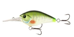 13 Fishing Cliff Banger Medium-Deep Diving Crankbait -Fishing Equipment Store 32254099619929