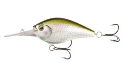 13 Fishing Cliff Banger Medium-Deep Diving Crankbait -Fishing Equipment Store 32254099718233