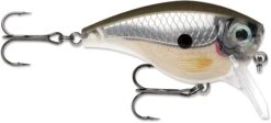 Rapala BX Mid-Brat 05 Squarebill Crankbait -Fishing Equipment Store 39740178399321