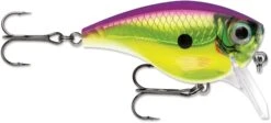 Rapala BX Mid-Brat 05 Squarebill Crankbait -Fishing Equipment Store 39740178432089