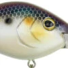 Berkley Dredger Deep Diving Crankbait Deeper Diving Models 2 Berkley Dredger Deep Diving Crankbait Deeper Diving Models -Fishing Equipment Store 40325003018329