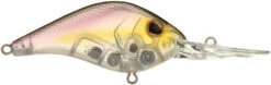 Berkley Dredger Deep Diving Crankbait Deeper Diving Models -Fishing Equipment Store 40325003182169