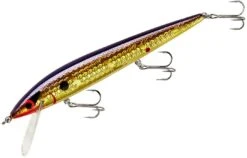 Smithwick Elite 8 Rogue 4 1/2 Inch Suspending Jerkbait -Fishing Equipment Store ADR4213