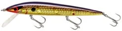 Smithwick Elite 8 Rogue 4 1/2 Inch Suspending Jerkbait -Fishing Equipment Store ADR4213 427dcaa6 8bc9 4645 9527 5e6203b63ad1