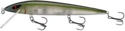 Smithwick Elite 8 Rogue 4 1/2 Inch Suspending Jerkbait -Fishing Equipment Store ADR4281