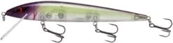 Smithwick Elite 8 Rogue 4 1/2 Inch Suspending Jerkbait -Fishing Equipment Store ADR4282