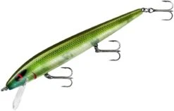 Smithwick Perfect 10 Rogue 5 1/2 Inch Deep Diving Suspending Jerkbait 26 Smithwick Perfect 10 Rogue 5 1/2 Inch Deep Diving Suspending Jerkbait -Fishing Equipment Store ADR5281