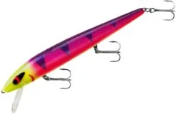 Smithwick Perfect 10 Rogue 5 1/2 Inch Deep Diving Suspending Jerkbait 33 Smithwick Perfect 10 Rogue 5 1/2 Inch Deep Diving Suspending Jerkbait -Fishing Equipment Store ADR5291