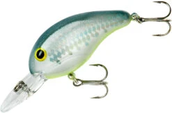 Bandit 200 Series Medium Diving Crankbait -Fishing Equipment Store BDT2D67