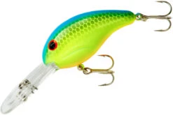 Bandit 300 Series Deep Diving Crankbait -Fishing Equipment Store BDT336