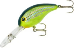 Bandit 300 Series Deep Diving Crankbait -Fishing Equipment Store BDT3D66