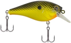 Berkley SquareBull 2 3/8 Inch Shallow Squarebill Crankbait -Fishing Equipment Store Berkley SquareBull Black Chartreuse 2017 alt2 2000