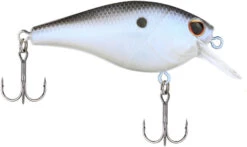 Berkley SquareBull 2 3/8 Inch Shallow Squarebill Crankbait -Fishing Equipment Store Berkley Squarebull BlueShad 55 alt2 2000