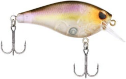 Berkley SquareBull 2 3/8 Inch Shallow Squarebill Crankbait -Fishing Equipment Store Berkley Squarebull GhostMorningDawn 55 alt2 2000