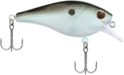 Berkley SquareBull 2 3/8 Inch Shallow Squarebill Crankbait -Fishing Equipment Store Berkley Squarebull GreenShad 35 alt2 2000