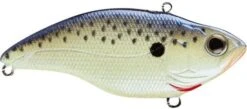 SPRO Aruku Shad 75 Lipless Crankbait -Fishing Equipment Store Cell Mate d6e7b25a 592d 4ca6 8952 d9ed08729a55